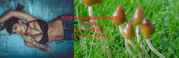 jwh Арсеньев